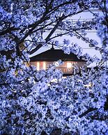 Guest house kusunoki - Hostel