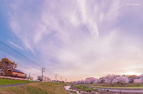 Guest house kusunoki - Hostel