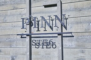 PINN-S1E6