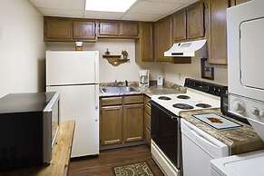 Little Pigeon River 508 2BD Condo with Fireplace and Jacuzzi Tub by Re