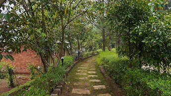 Jungle Valley Agriculture Resort