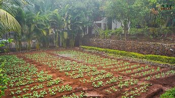 Jungle Valley Agriculture Resort