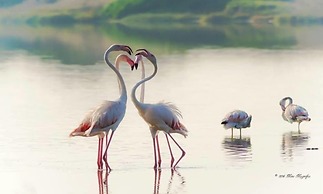 Casa Noscia - San Pietro in Bevagna