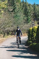 Welcomhotel by ITC Hotels, Shimla