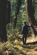 Welcomhotel by ITC Hotels, Shimla