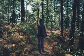 Welcomhotel by ITC Hotels, Shimla