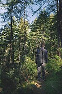 Welcomhotel by ITC Hotels, Shimla