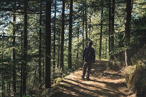 Welcomhotel by ITC Hotels, Shimla