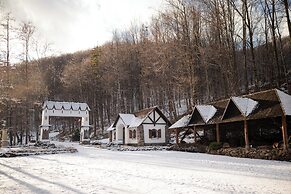 Voevodyno Resort