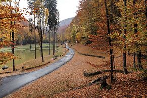 Voevodyno Resort