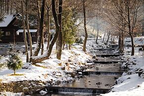 Voevodyno Resort