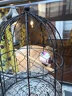 HafenTraum IndoorHostelCamp