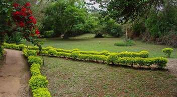 Savannah Garden Resorts Limited