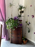 B&B Vittorio Emanuele