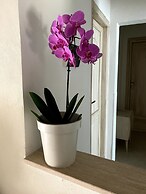 B&B Vittorio Emanuele