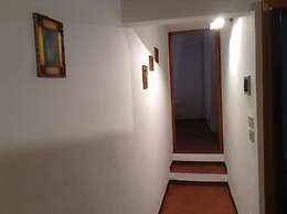 Vellutini Number One