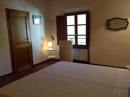 Vellutini Number One