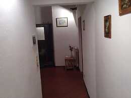 Vellutini Number One