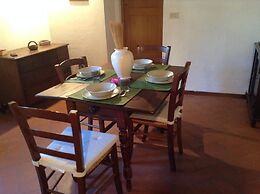 Vellutini Number One