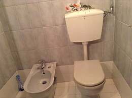 Vellutini Number One