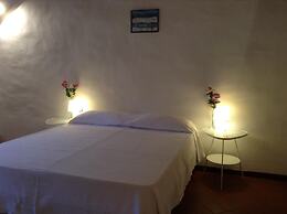 Vellutini Number One