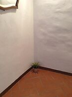 Vellutini Number One