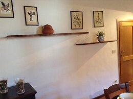 Vellutini Number One