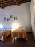 Vellutini Number One