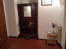 Vellutini Number One