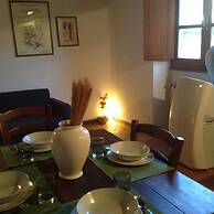 Vellutini Number One