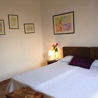 Vellutini Number One