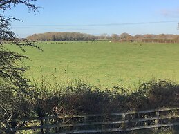 Dog & Crook Braishfield