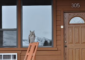 Yellowstone Village Inn and Suites