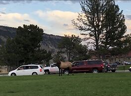 Yellowstone Village Inn and Suites