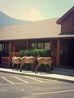 Yellowstone Village Inn and Suites