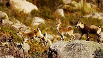 Agrinho Suítes & Spa Gerês