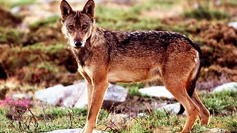 Agrinho Suítes & Spa Gerês