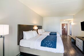 Comfort Inn & Suites Gulf Shores East Beach near Gulf State Park