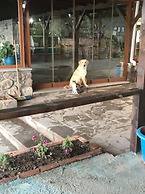 Assos Yenibahce Motel