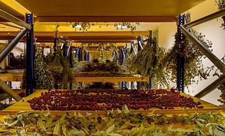 Bioli Medical Wellness Resort