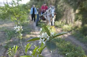 Gite du pêcheur Haouaria