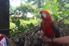 Amazon Queen Lodge