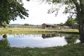 Wine Suite at Rellik House. Winery & Alpaca Farm