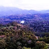Munnar Jungle Camp