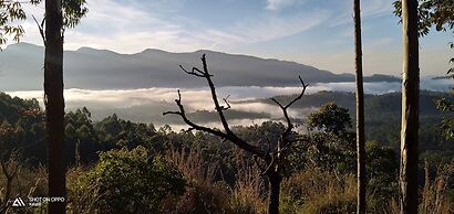Munnar Jungle Camp