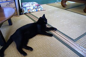 Guest House Agaihama