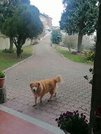 La Casa nel Verde