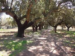 Casa Rural Sierra San Mamede