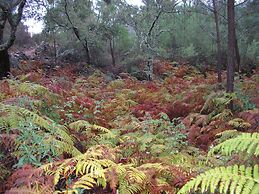 Casa Rural Sierra San Mamede