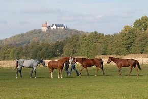 Land- und Aktivhotel Altmühlaue